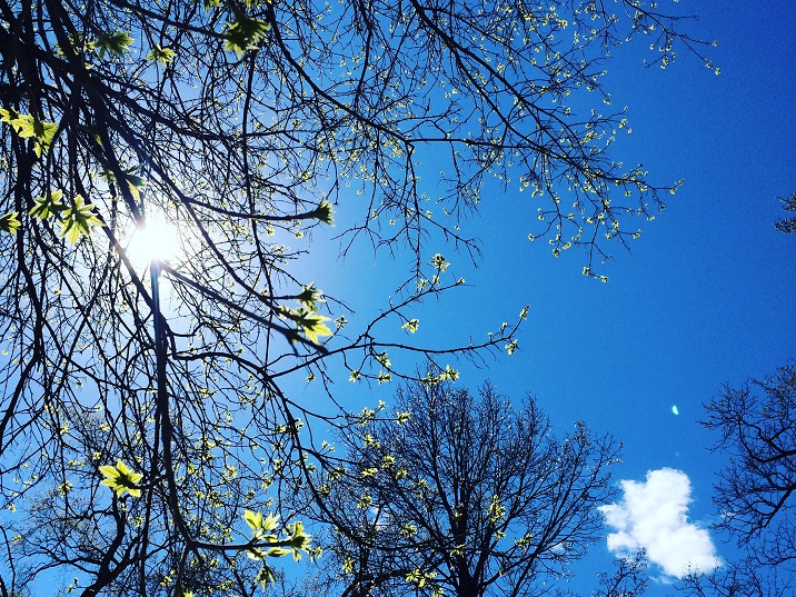 It's going to be beautiful weather in Winnipeg this weekend, says an Environment Canada climatologist.