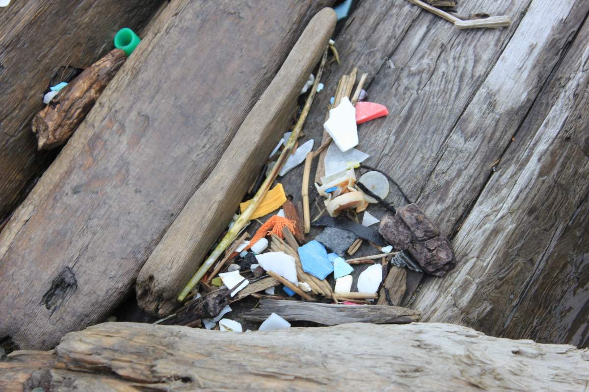 Mulched pieces of plastic rest on a log on the East Beach in Haida Gwaii.