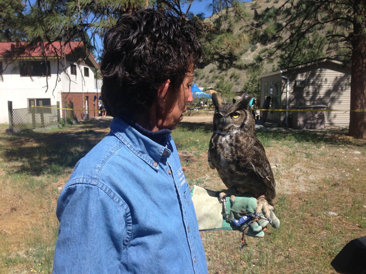 SORCO Manager Dale Belvedere holds the resident great-horned owl, Houdini at the open house.