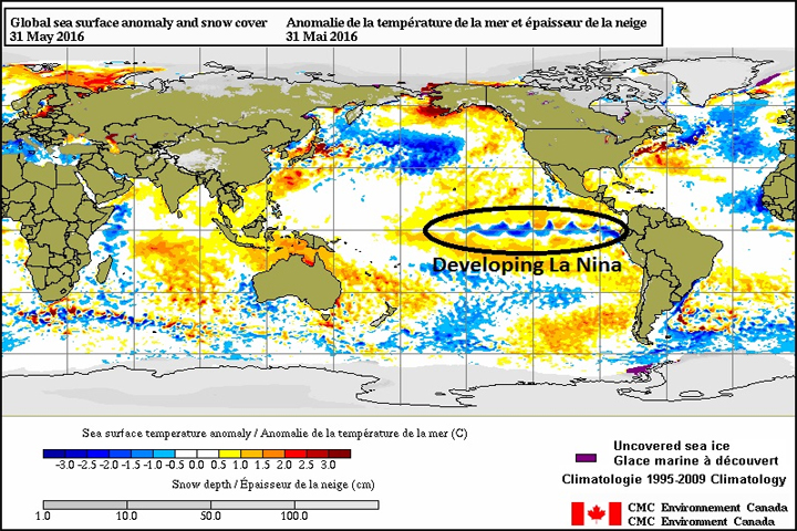 Cooling water in the Pacific Ocean is signalling a return of La Niña.