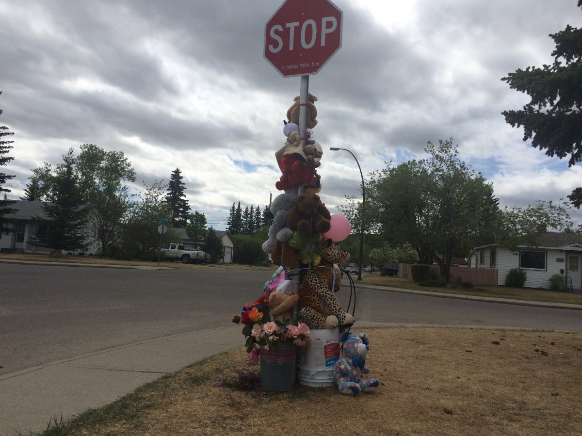 Memorial set up for 4-year-old girl killed in traffic accident in the community of Bowness on 79 Street.