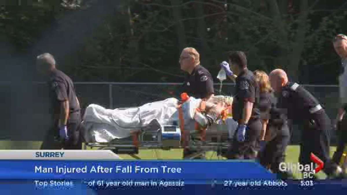 A man was rushed to hospital after falling out a tree in Surrey.