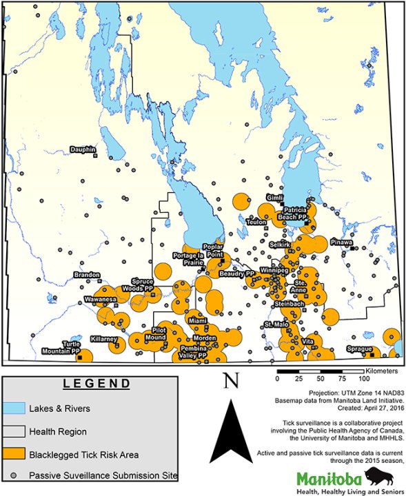 What you need to know about tick season and Lyme disease in Manitoba