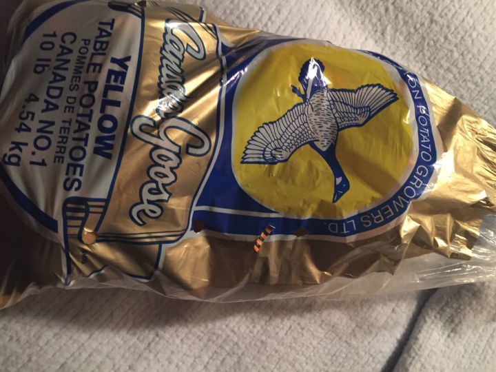 Fort McMurray wildfire: cheese slices, statue of David among items evacuees grabbed as they left town - image