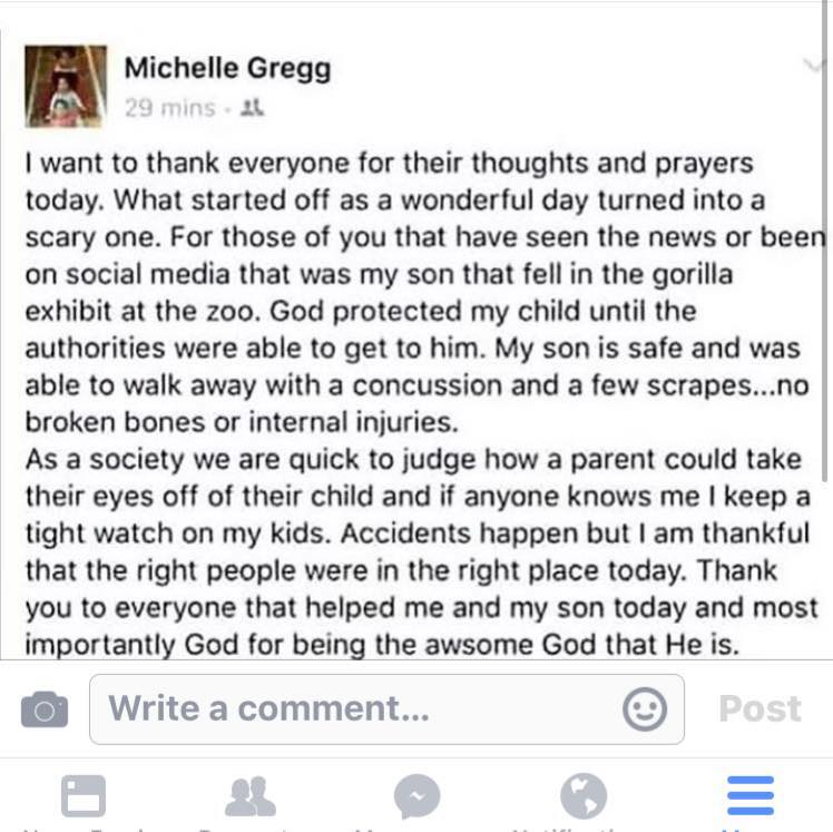 Harambe’s death: Is the parent-shaming over gorilla’s death going overboard? - image