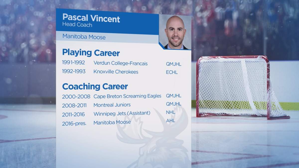 Pascal Vincent new head coach of Manitoba Moose - image