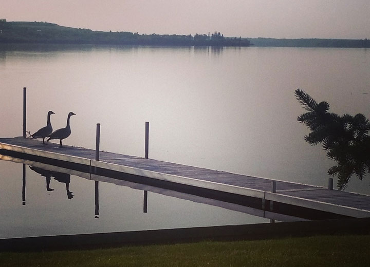 May 19: This Your Saskatchewan photo was taken by Gina Rea at Murray Lake.