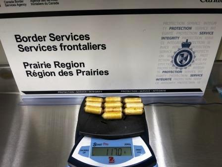 A sample of the 82 suspected cocaine pellets in Edmonton on April 30, 2016. 