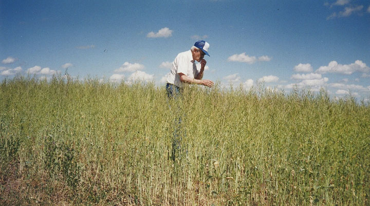 May 20: This Your Saskatchewan photo was taken by Roxanne Bartel near Saskatoon of her late father, Henry, checking his fields.