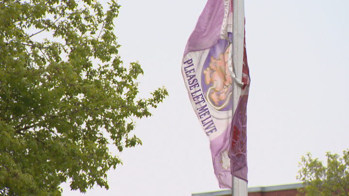Petition calls for controversial pro-life flag flying at Prince Albert, Sask. city hall to be taken down.