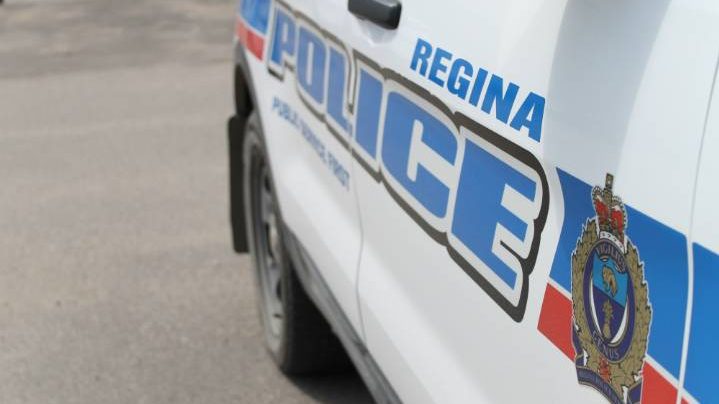 A dog was shot and injured by an officer during a call about a disturbance, according to Regina police.