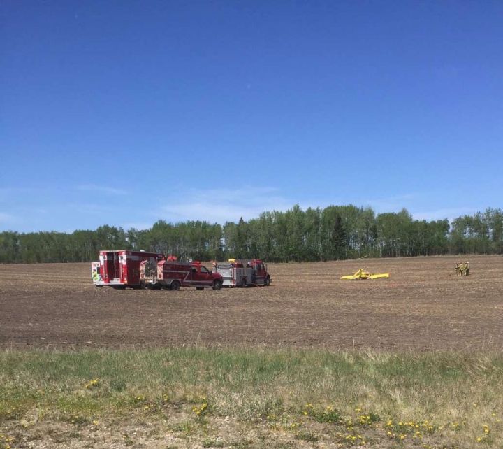 A 70-year-old man is dead after crashing his plane in a field near Sylvan Lake.