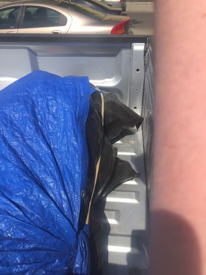 Fort McMurray wildfire: cheese slices, statue of David among items evacuees grabbed as they left town - image