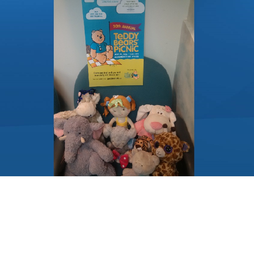 These teddy bears are looking for their owners. They were left behind at the Teddy Bear Picnic on May 30. 