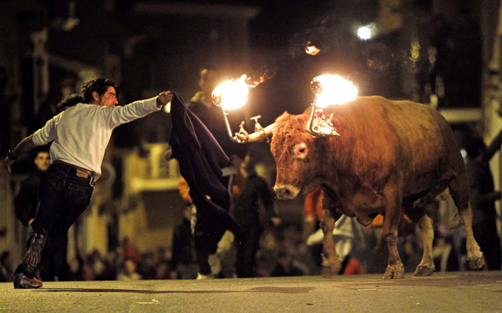A reveler runs away from a bull with flaming horns during a festivity in honor of Saint Anthony, the patron saint of animals, in the streets of Gilet, a town near Valencia, Spain. 