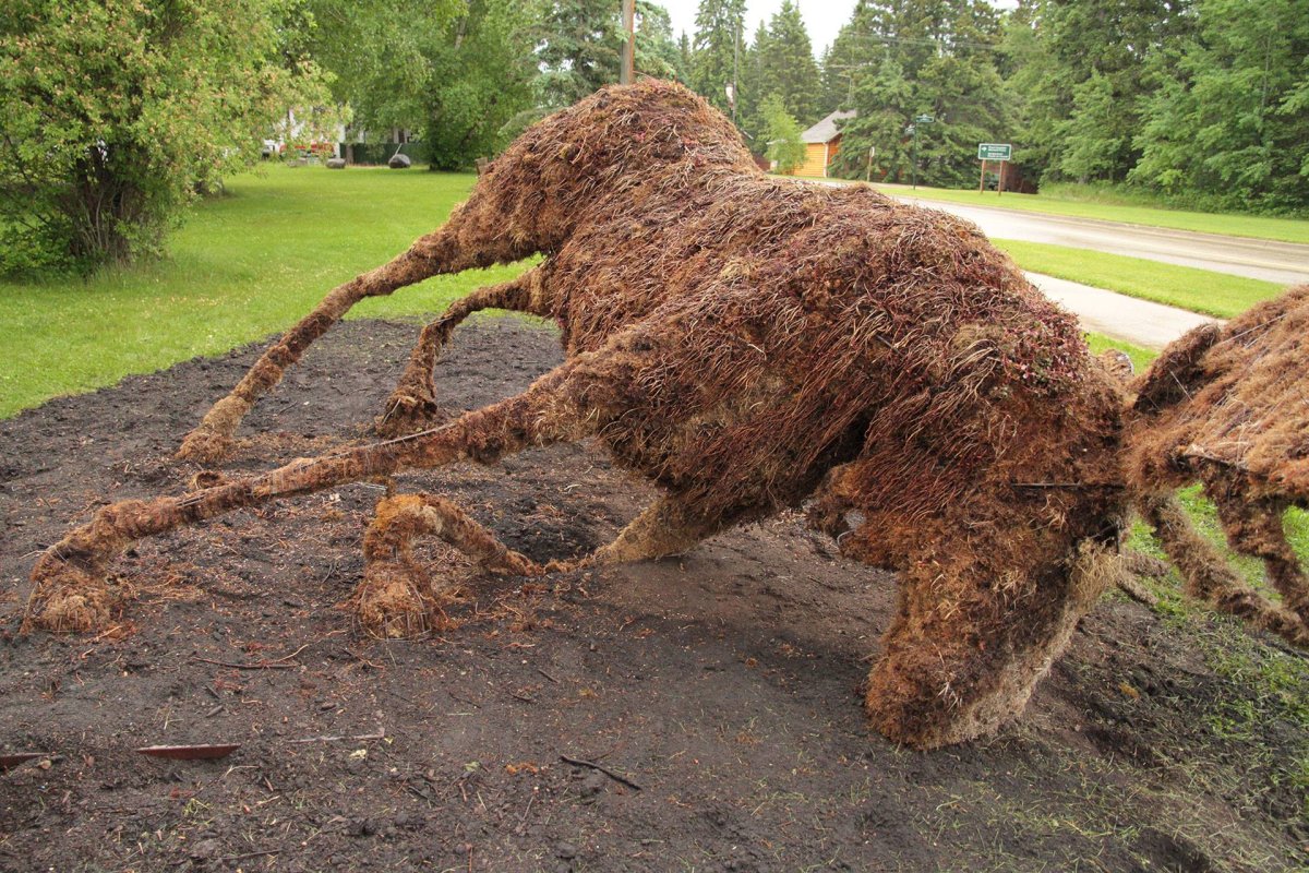 RCMP are on the lookout for vandals after the topary moose was pushed over at Riding Mountain National Park this week.