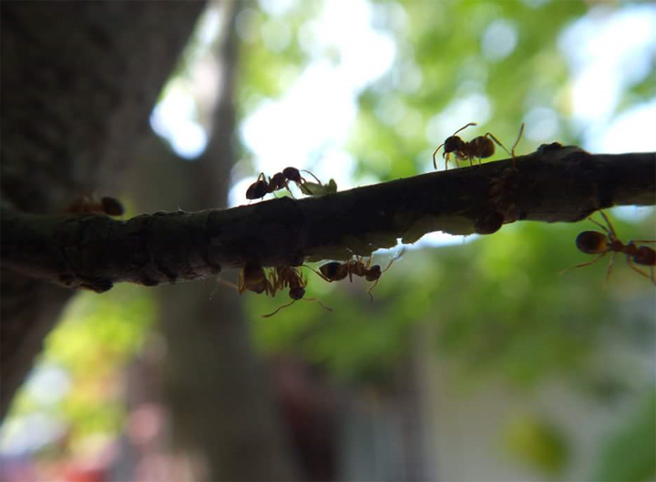 June 21: Brent Bell took this Your Saskatchewan photo in Maidstone.