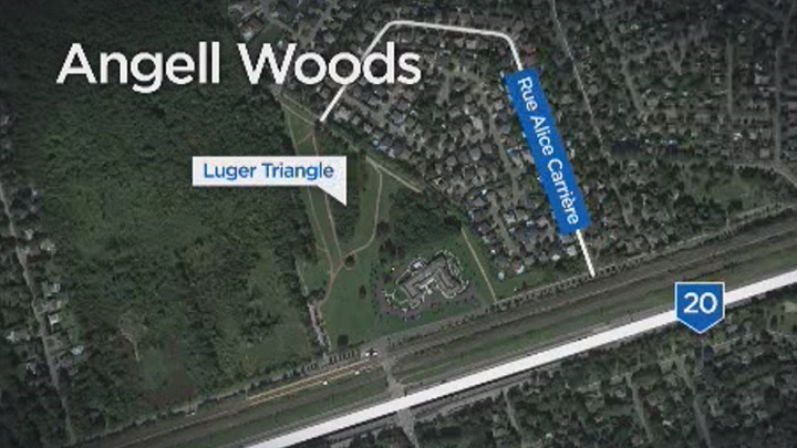 The Luger Triangle section of Angell Woods.