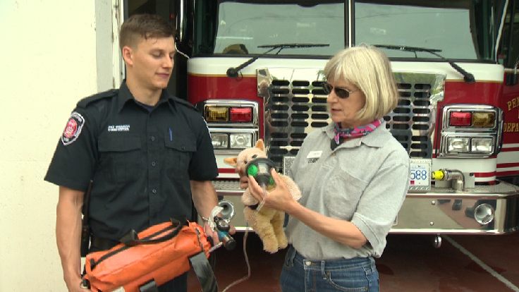 Penticton firefighters helping animals breathe easy - image