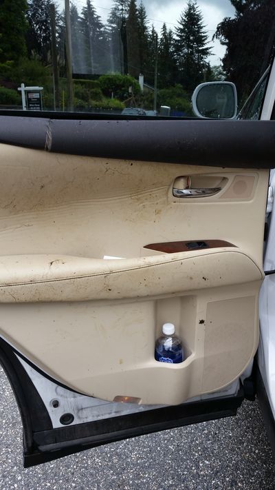 Bear breaks into, destroys Lexus in West Vancouver - image