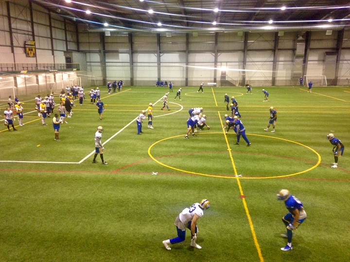 The Winnipeg Blue Bombers practice inside on Friday at the Winnipeg Indoor Soccer Complex.