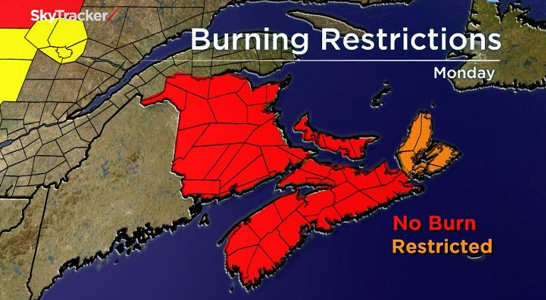 Hot, dry temperatures lead Department of Natural Resources to implement burn restrictions on June 20 for Nova Scotia and New Brunswick. 