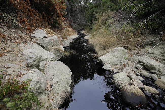 Spilled oil fills a ravine, Thursday, June 23, 2016, in Ventura, Calif. Thousands of gallons of crude oil spilled Thursday from a pipeline and flowed down a ravine in Southern California but did not reach the ocean, officials said. 