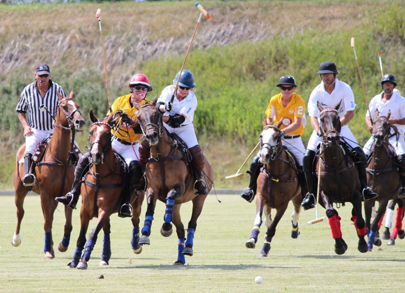 Polo players at the Calgary Polo Club.