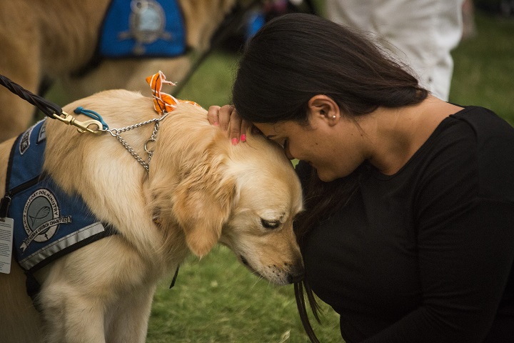 Melissa Soto hugs comfort dog Susie near a memorial site in honor of the victims of the Orlando mass shooting in Orlando, Florida, 14 June 2016. 