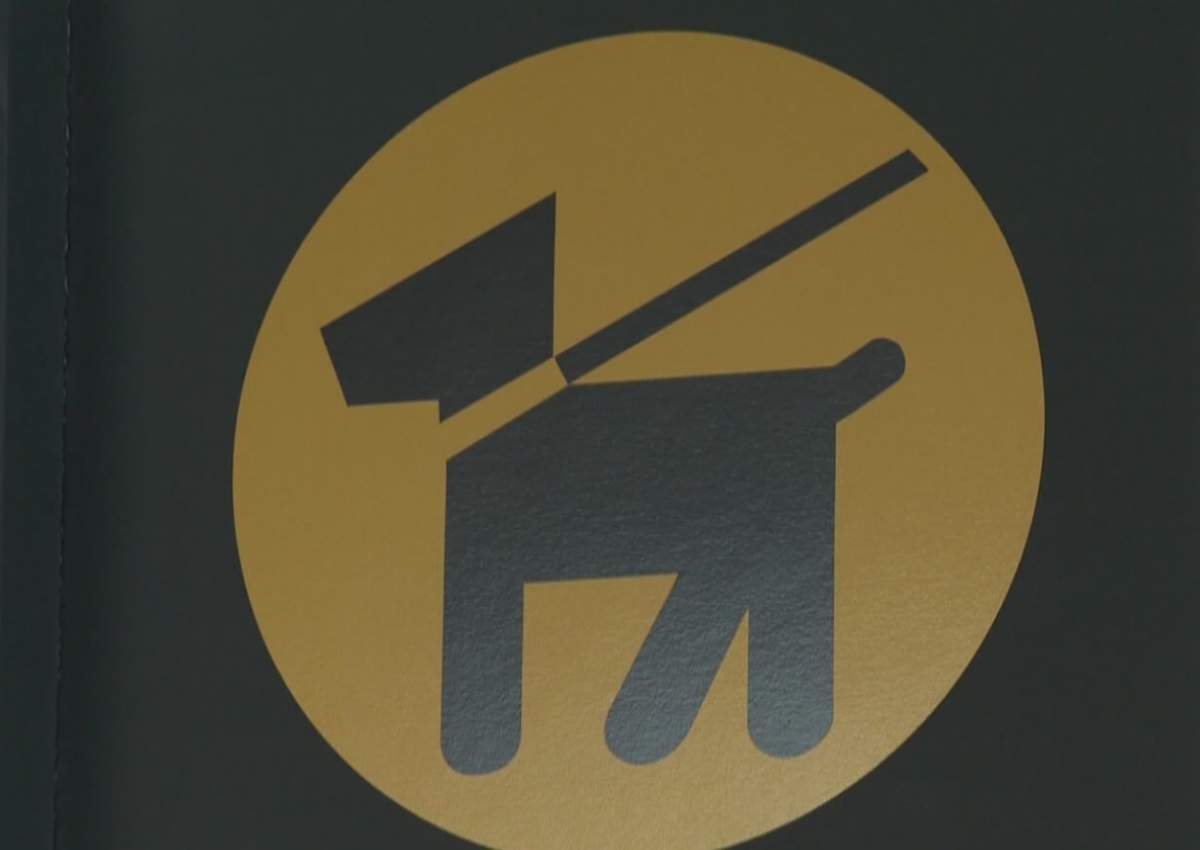 YVR airport installs restroom for pets - image