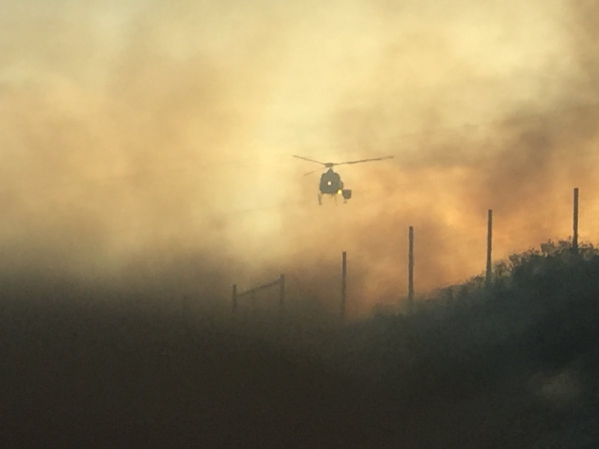 UPDATE: Fire near Grand Forks doubles in size to 224 hectares ...