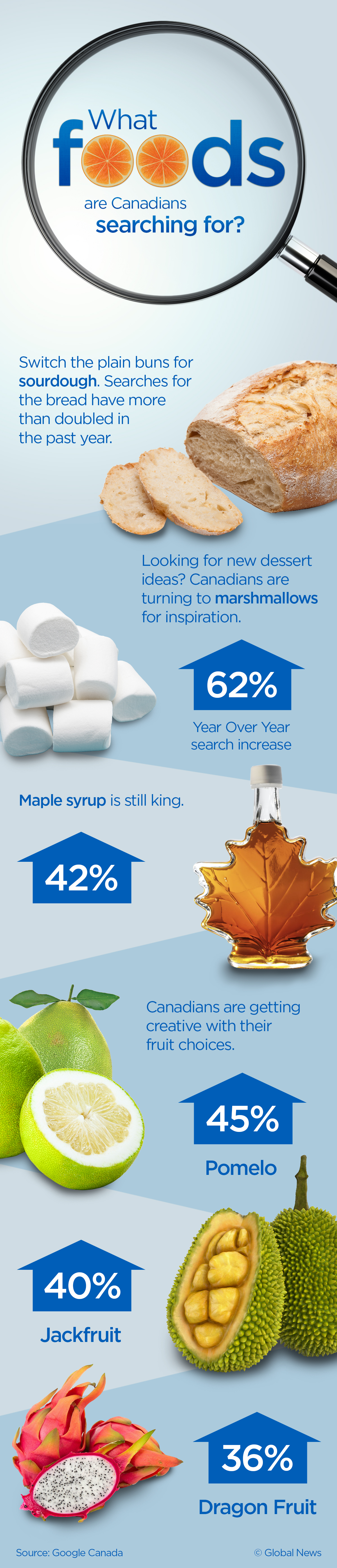 Top food and drink trends in Canada, according to Google searches - image