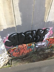 Serial graffiti tagger nabbed in North Vancouver - image