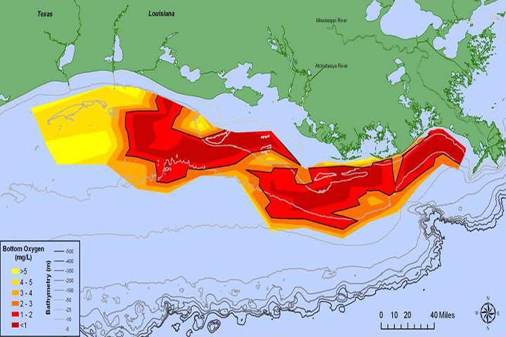 Gulf of Mexico’s ‘dead zone’ could result in fish kill in an area the ...