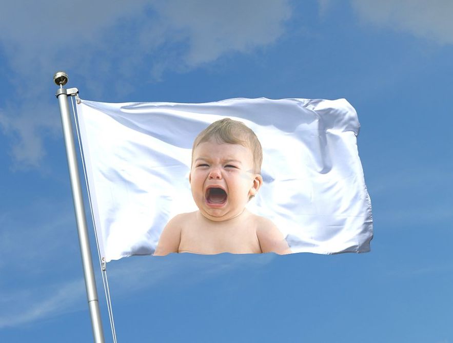 "Wasn't sure they had one, but after some googling, I found the #HeterosexualPrideDay flag," Christopher Sebela wrote on Twitter.