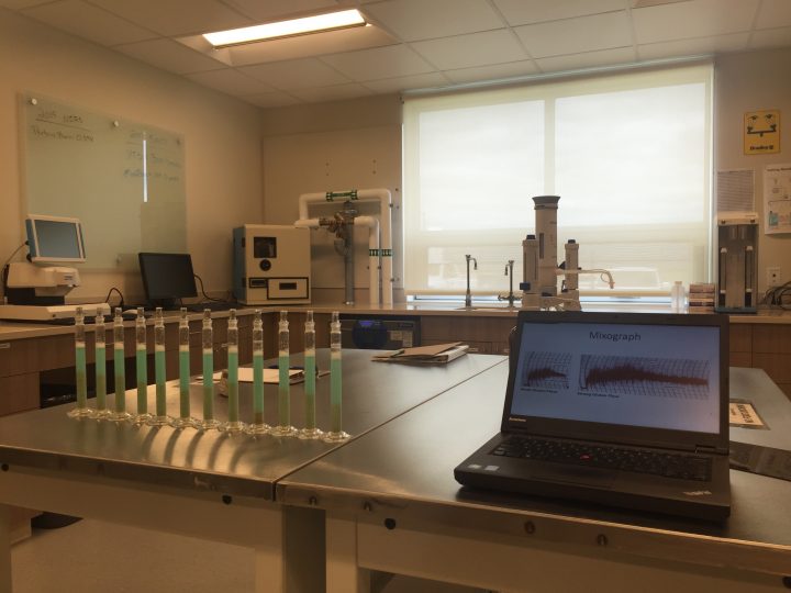 Bayer showcases new wheat breeding station in Saskatchewan - image