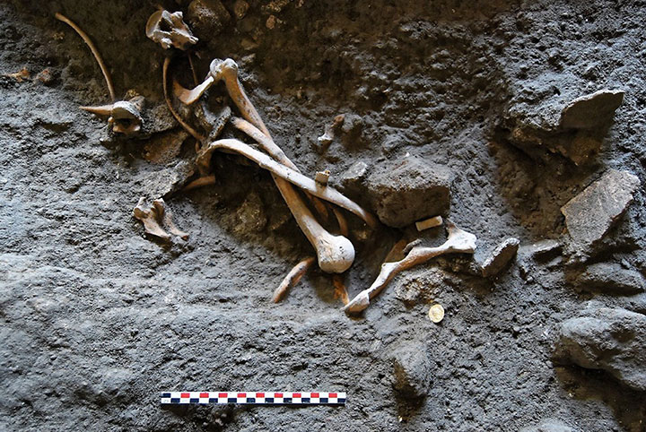 Italian and French archaeologist team, digging in the outskirts of Pompeii, have discovered four skeletons and gold coins in the ruins of an ancient shop in Pompeii, near Naples, Italy.