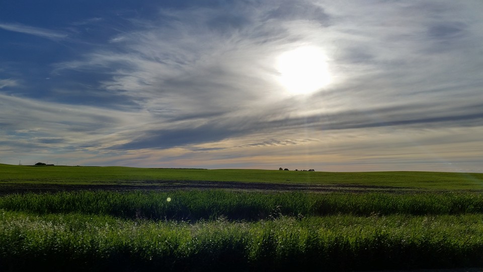 June 30: This Your Saskatchewan photo was taken near Bethune, Sask. by John McKay.