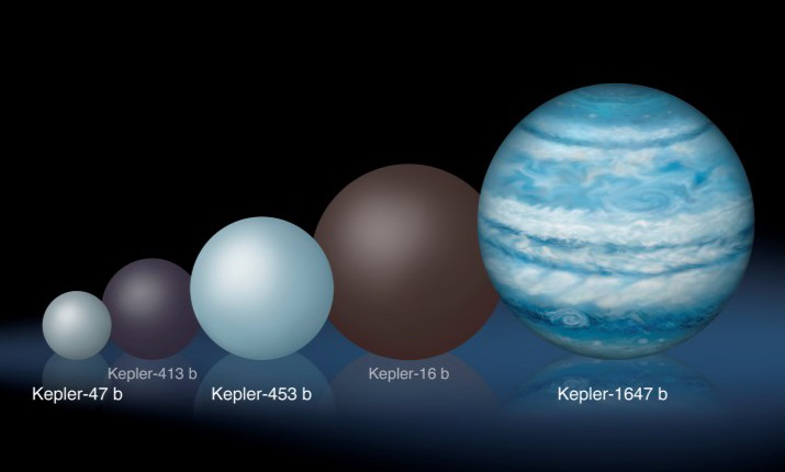 Comparison of the relative sizes of several Kepler circumbinary (planet orbiting two stars) planets.
