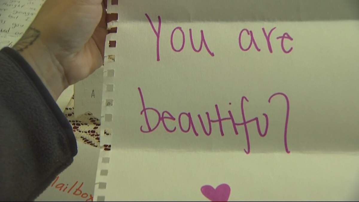 ‘Love letters only’: Washington woman’s mailbox yearns for strangers’ heartfelt messages - image