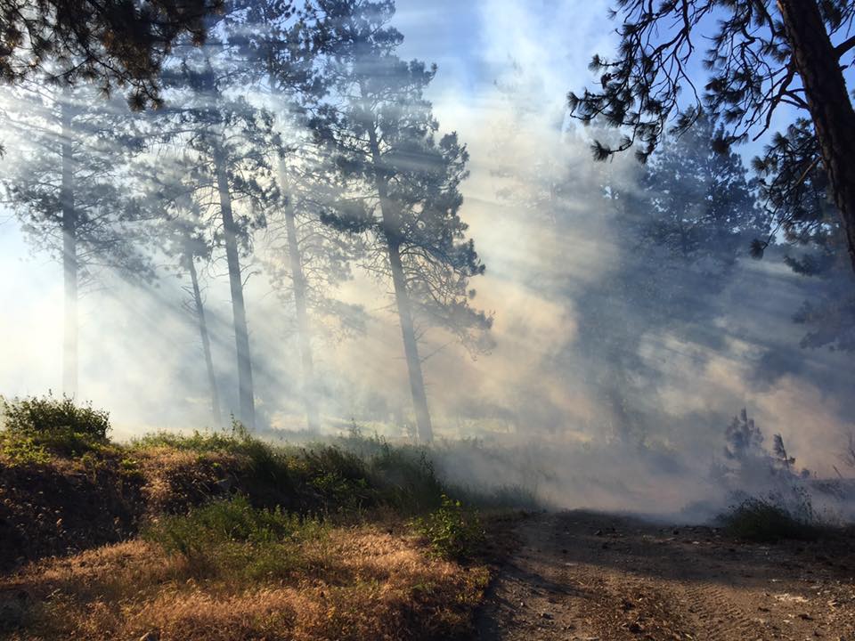 Wildfire burning near Lytton, B.C. June 30, 2016. 