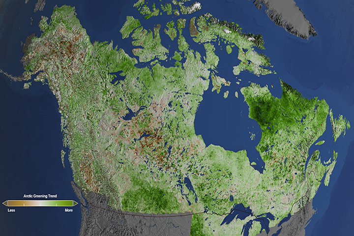 Using 29 years of data from Landsat satellites, researchers at NASA have found extensive greening in the vegetation across Alaska and Canada.