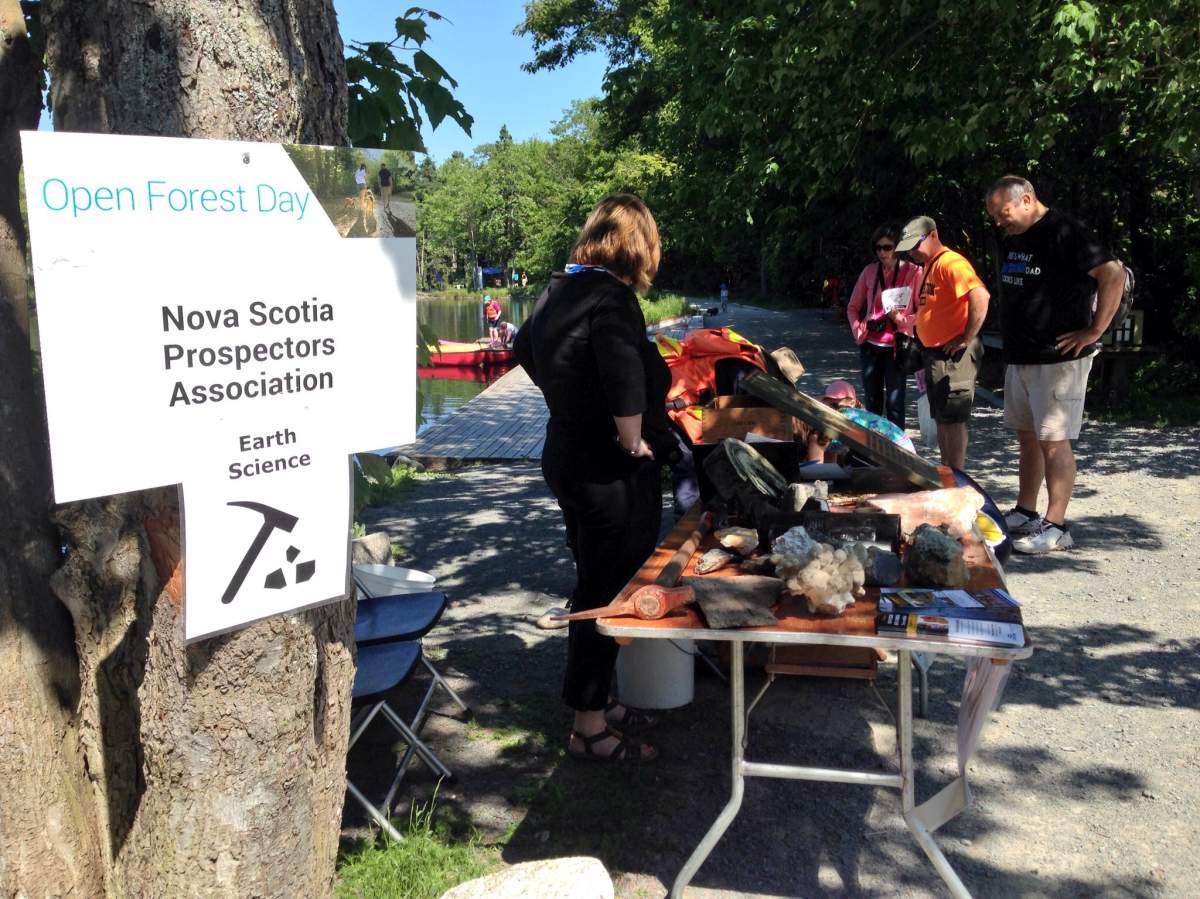Open Forest Day at Shubie Park in Dartmouth on June 25, 2016. 