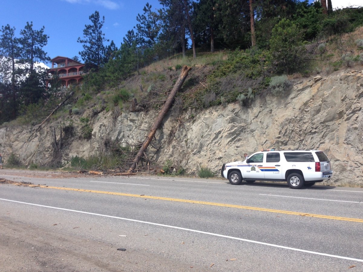 A large tree fell down onto the edge of Highway 97 just south of Peachland. 