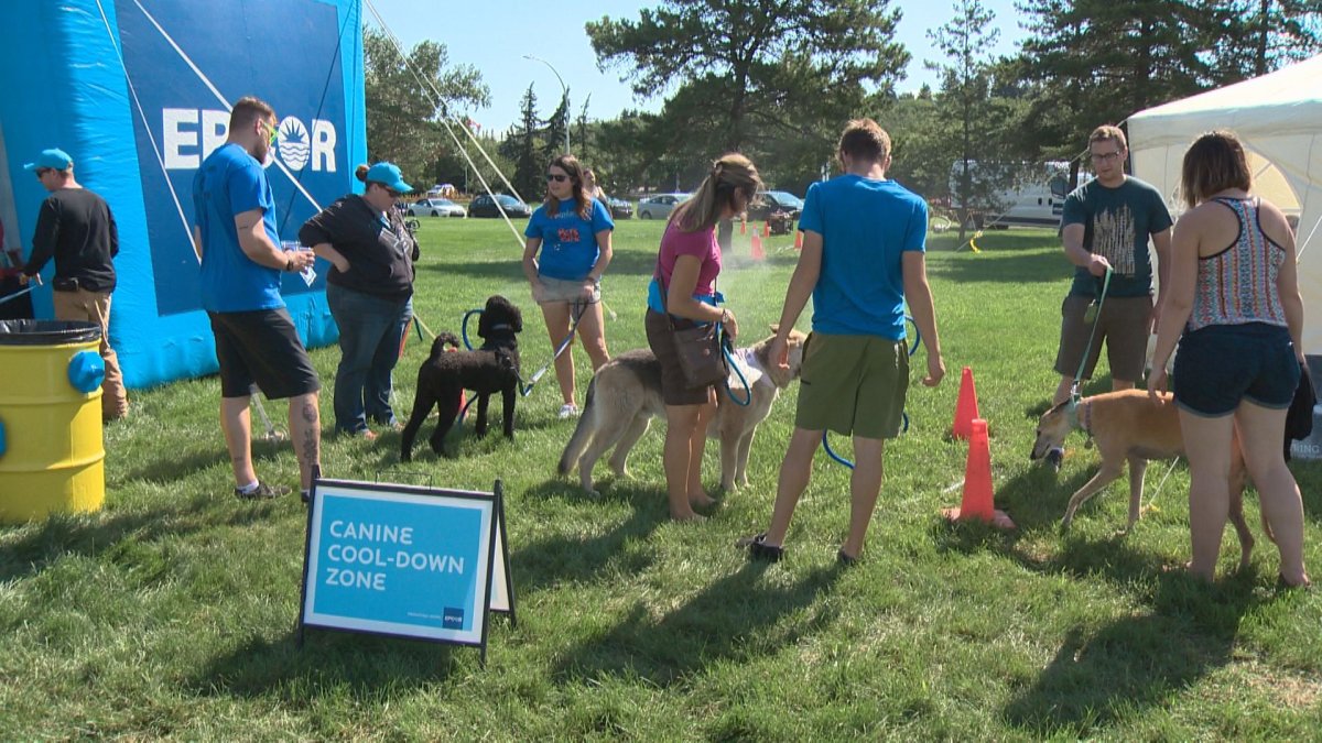 The Edmonton Humane Society hosts its annual Pets in the Park at Hawrelak Park, Sunday, June 26, 2016. 