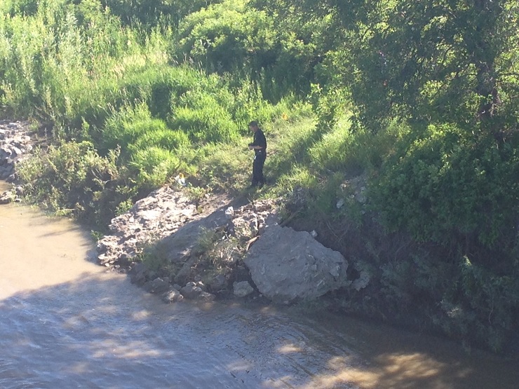 Winnipeg police units by the Red River near Bishop Grandin Thursday afternoon. 