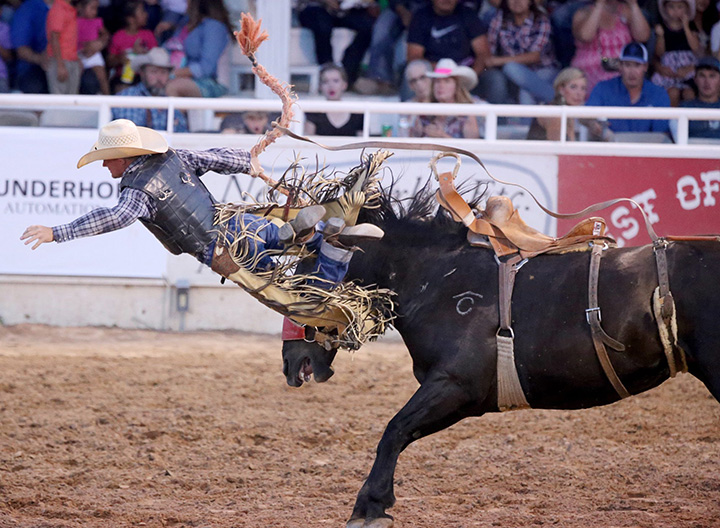 Brewster Guin gets bucked off of a horse during the second performance of the West of the Pecos Rodeo on June 23, 2016 at the Buck Jackson Arena in Pecos, Texas.