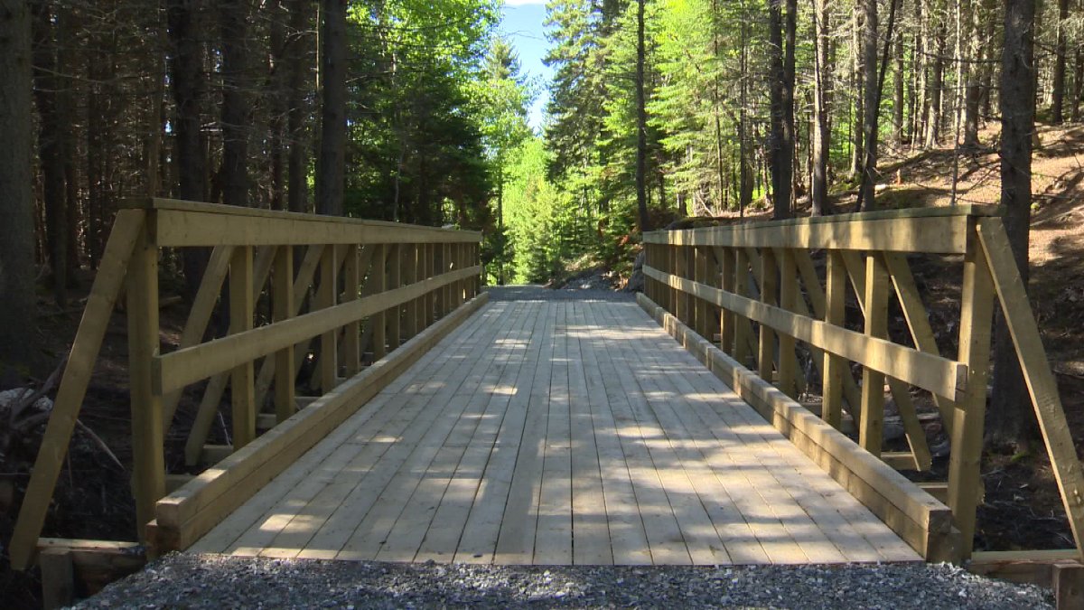 A new bridge constructed by members of CFB Gagetown will allow better access to the north side of the trail system at Rockwood Park in Saint John.