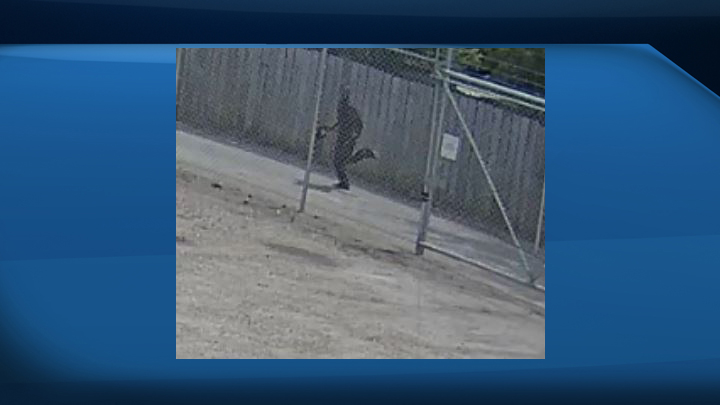 Saskatoon police have released a photo of a suspect in the city’s eighth homicide of 2016.