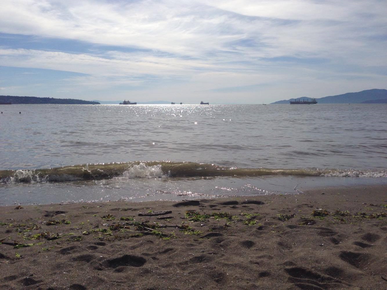Police credit bystanders with preventing serious injury to officers attacked in Stanley Park - Vimarsana News